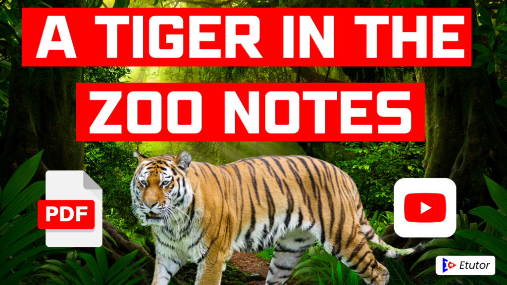 A tiger in Zoo Notes Class 10 Etutor