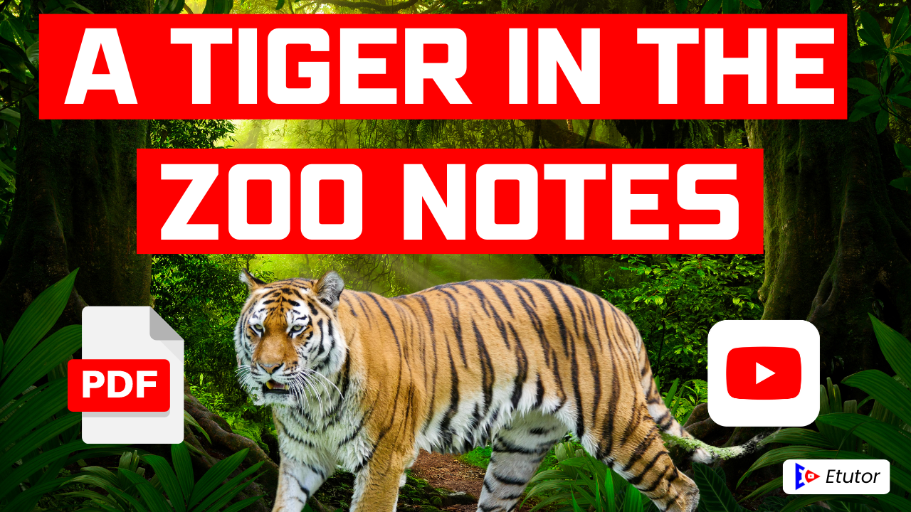 A Tiger In The Zoo Class 10 English Poem 3 CBSE NCERT PDF Notes And ...