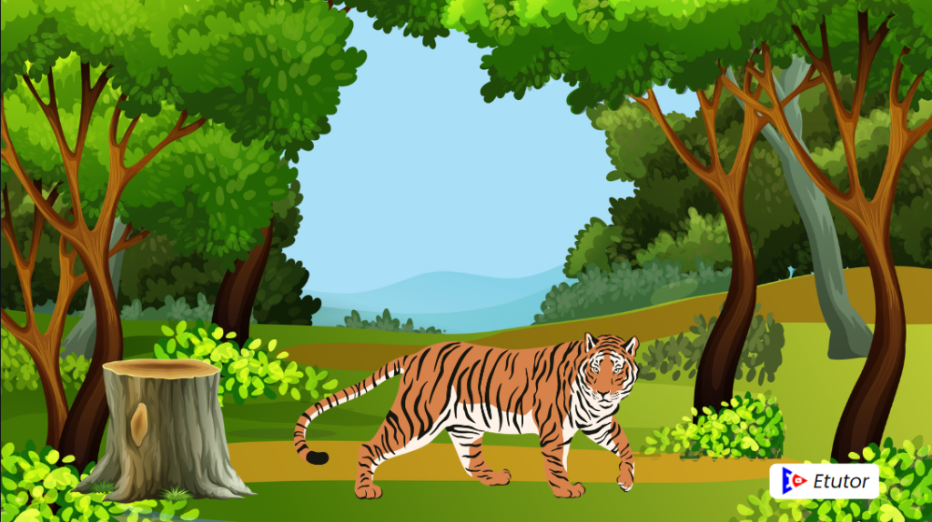 A tiger in the zoo poem  class 10 notes