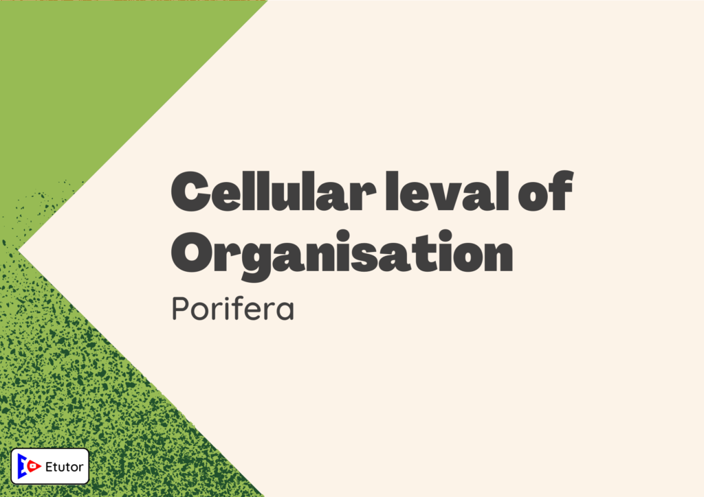 Cellular leval of organization 