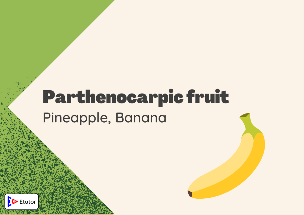 Parthenocarpic fruit