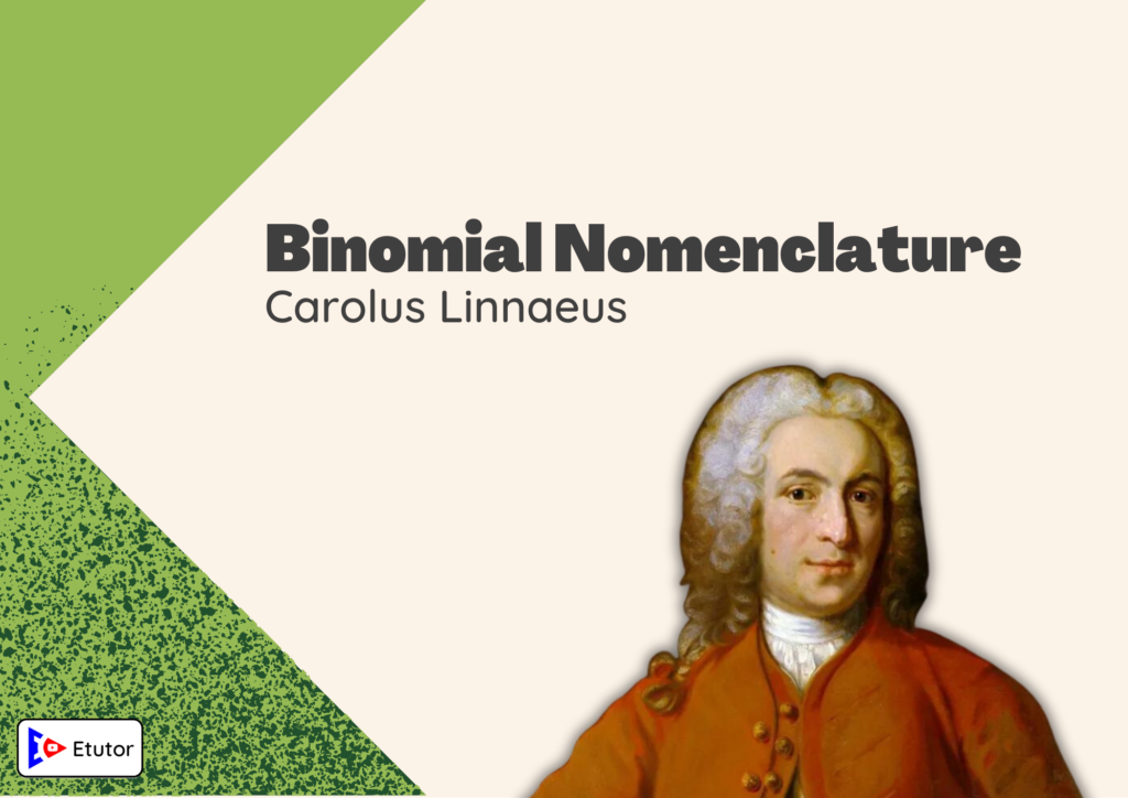 binomial nomeclature Carolus Linnaeus