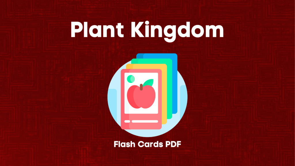 Plant Kingdom Class 11 Biology Flash Cards PDF
